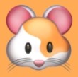 蘑菇视频1.3.4.APP应用
